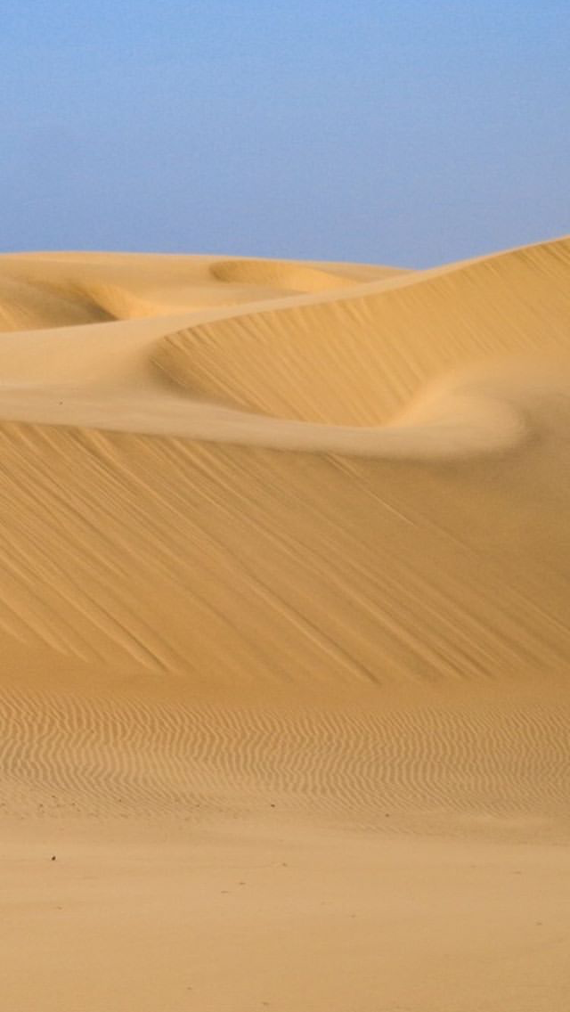 MEDANOS 2.PNG