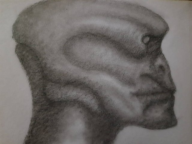20250606_110304.jpg