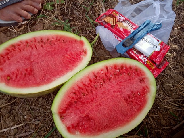 IMG20250714153849.jpg