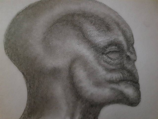 20250531_111351.jpg