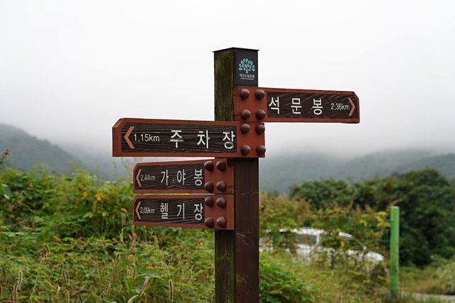 b-DSC05017.JPG
