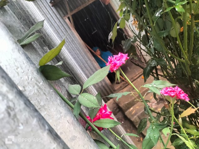 IMG20250421082646.jpg