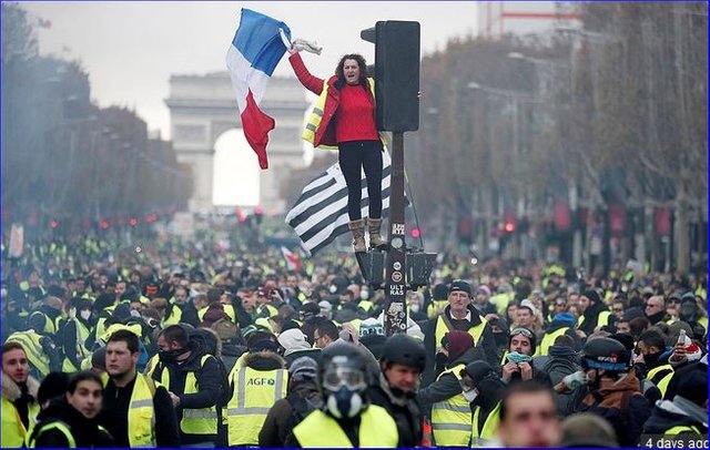 Yellow Vest 4.JPG