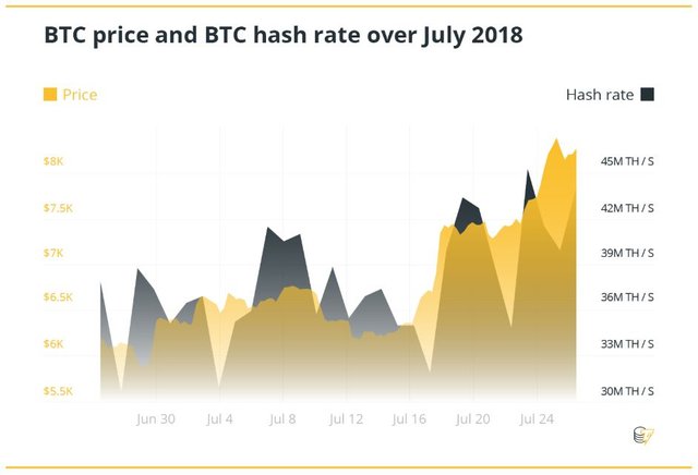 hashflare-ngung-cung-cap-dich-vu-tuong-lai-cua-cloud-mining-se-ra-sao (2).JPG