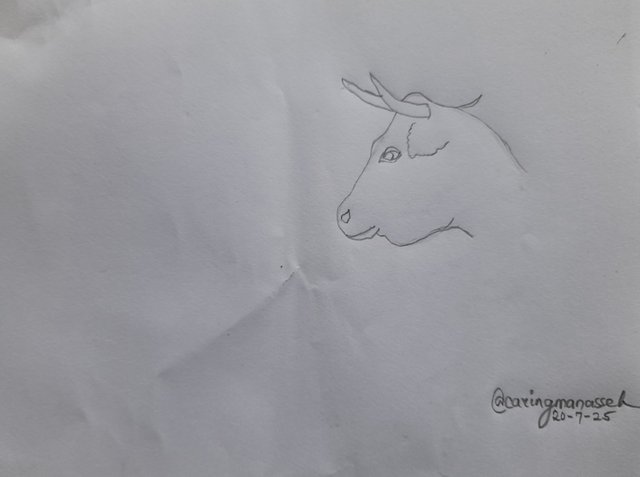 20250720_172234.jpg