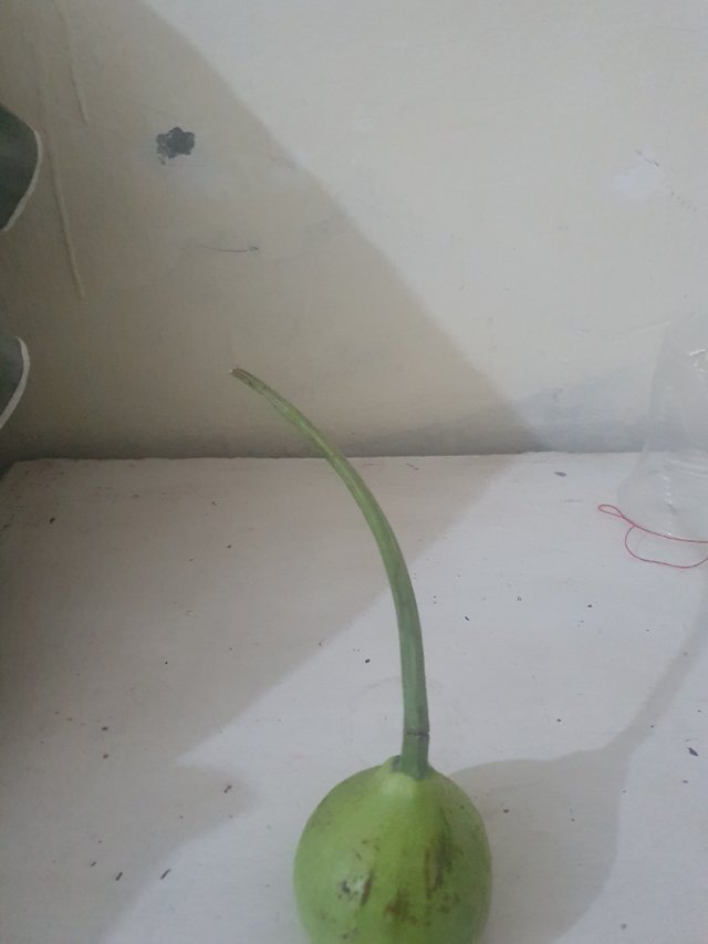 20250513_122848.jpg