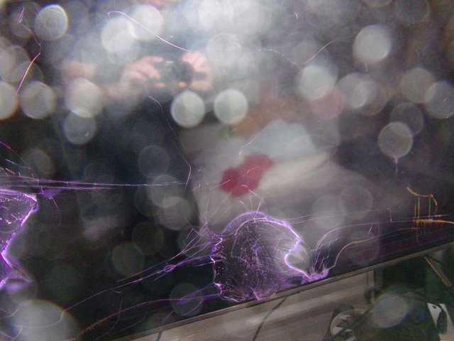 100_2745.JPG