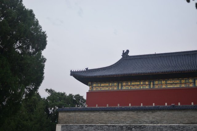 DSC_0015.JPG