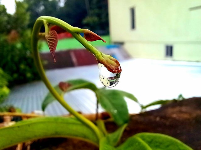 20250717_124132.jpg