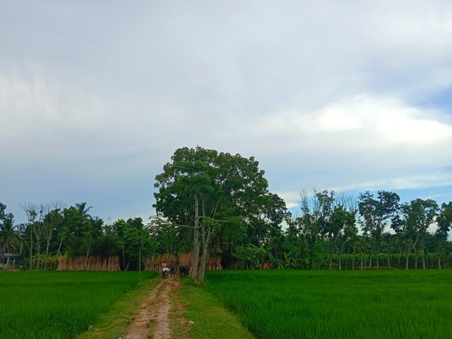 IMG_20250909_162832.jpg