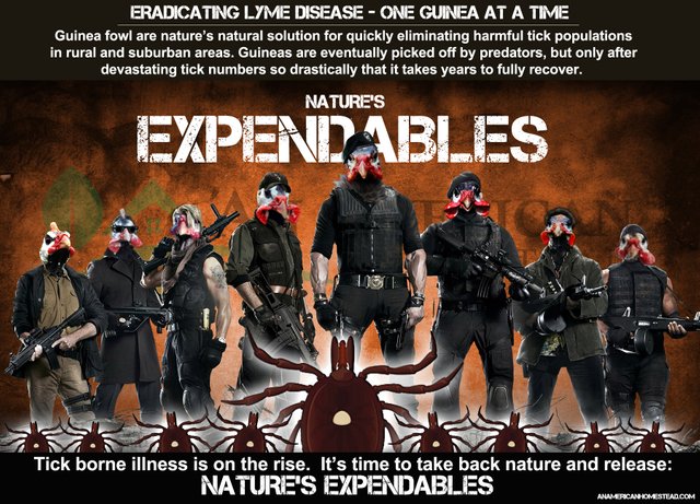EXPENDABLES1.jpg