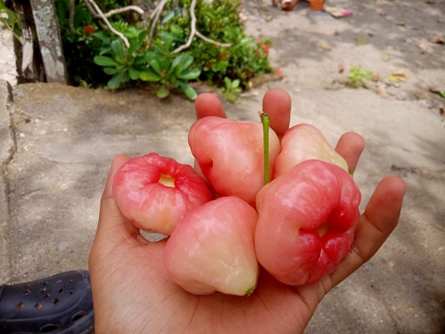 IMG20250804125750.jpg