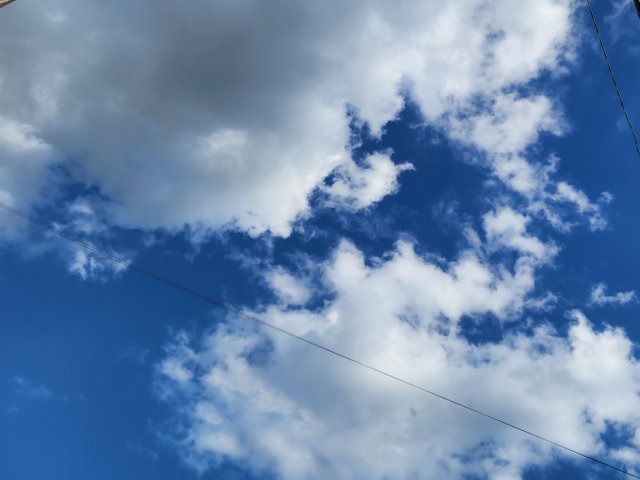 1000029680.jpg