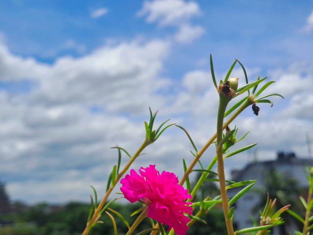 20250725_122352.jpg