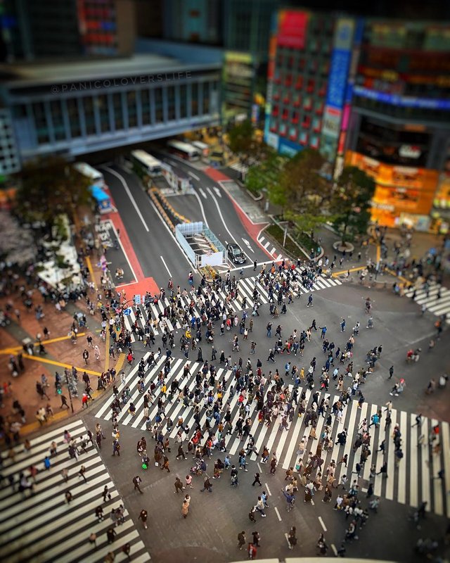 Panicolovers tokyo.jpg