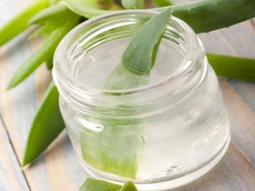 Prepara-un-gel-refrescante-de-aloe-vera-500x375.jpg