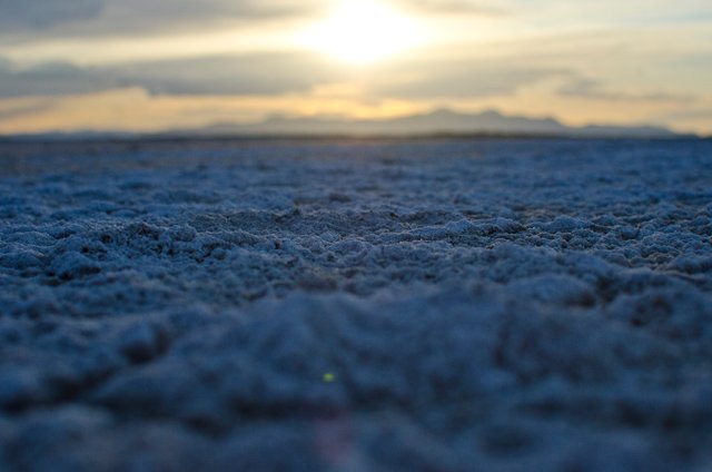 The texture and patterns of salt on the ground.JPG