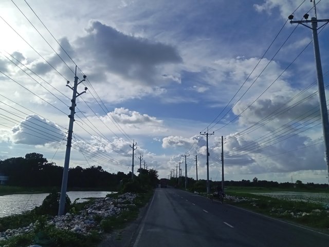 1000588446.jpg