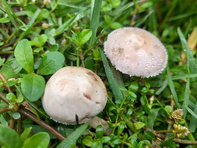 20250414_080507.jpg