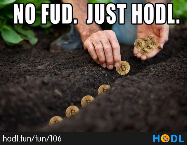 HODL PICTURES GIFS MEMES — Steemit