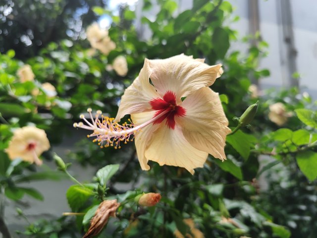 IMG_20250708_132744.jpg