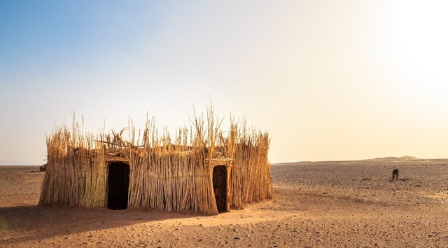 desert-africa-dry-sand-arid.jpg