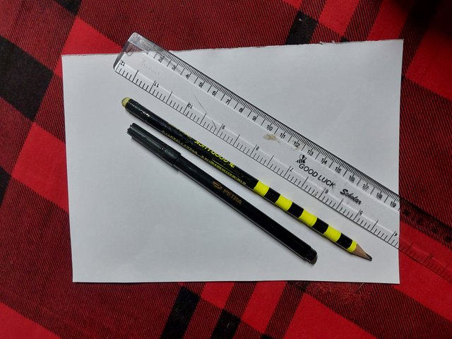1000240399.jpg