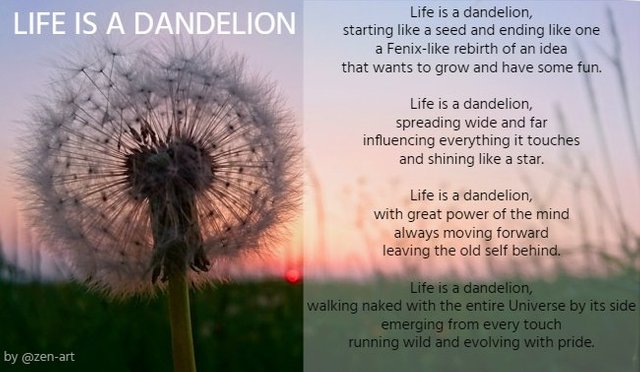 dandelion-3637041_960_720.jpg