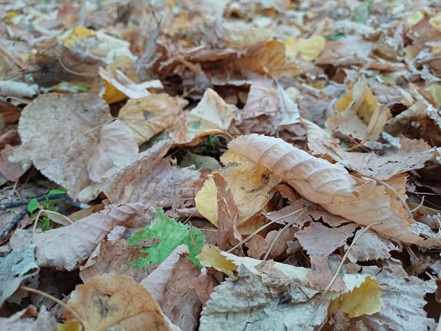 20250926_183116.jpg
