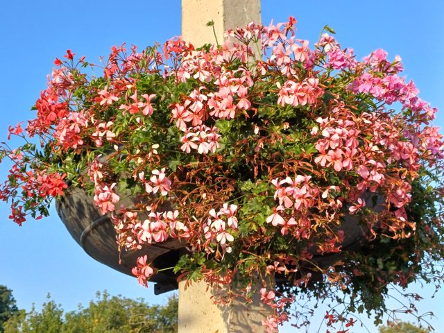 20250902_072115.jpg