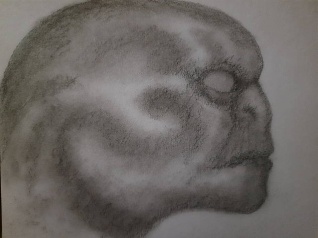20250605_105150.jpg