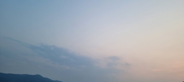 1000029825.jpg
