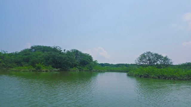 20250609_104313.jpg
