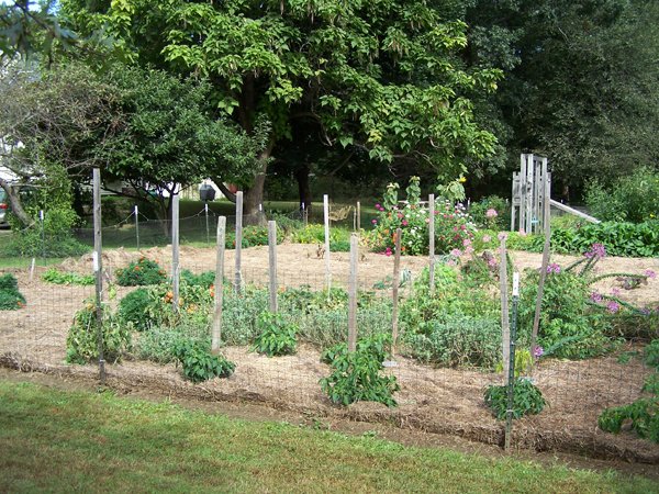 Big garden - finished looking northwest2 crop Sept. 2018.jpg