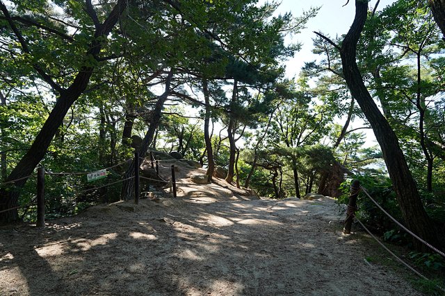 b-DSC08690.JPG