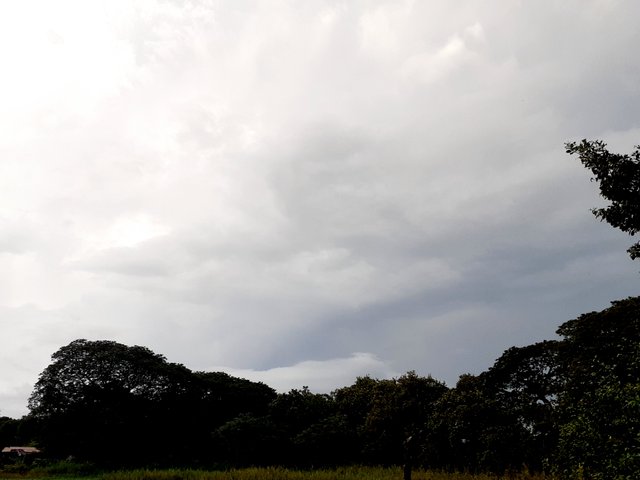 20250727_070814.jpg