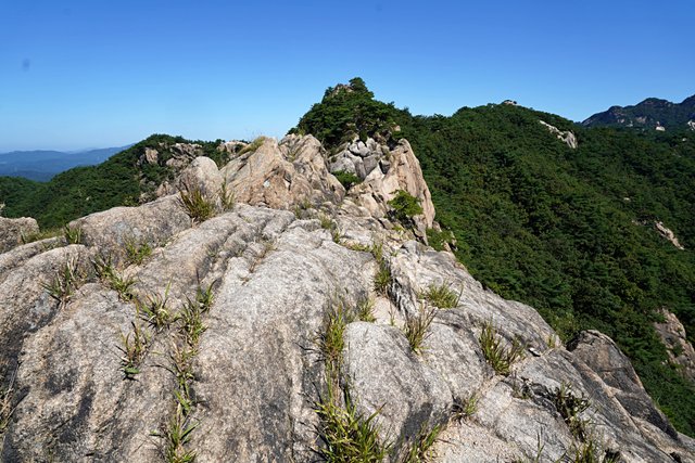 b-DSC01325.JPG