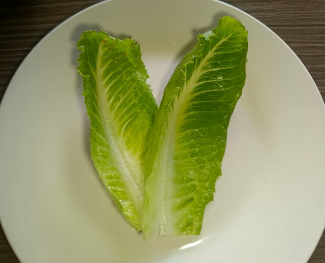 1000402565.jpg