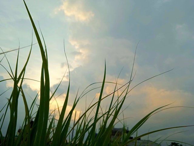 IMG-20250913-WA0177.jpg