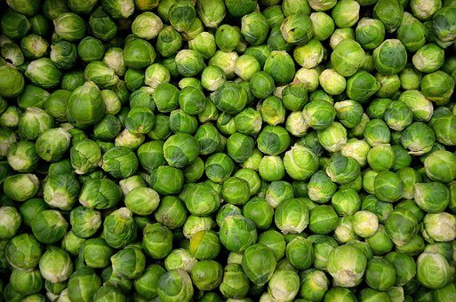 brussels-sprouts-22009__340.jpg