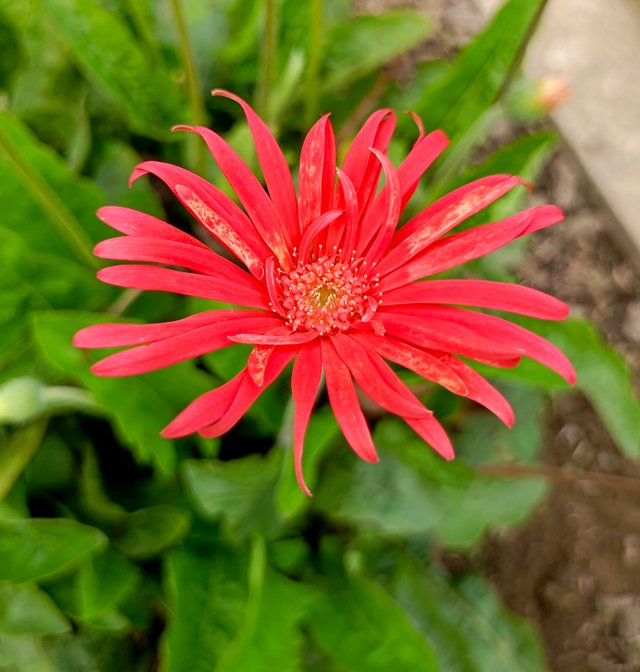 IMG20250404100002.jpg