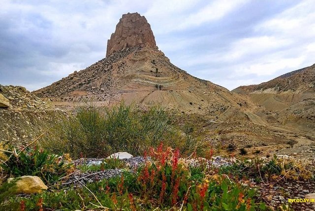 bushehr-pardis-mountain-jam.jpg