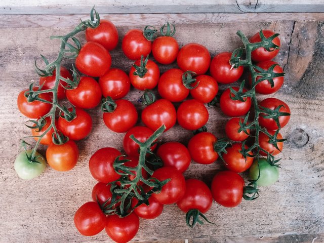 tomatoes-4.jpg
