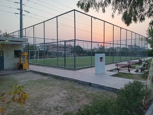 20250619_052559.jpg