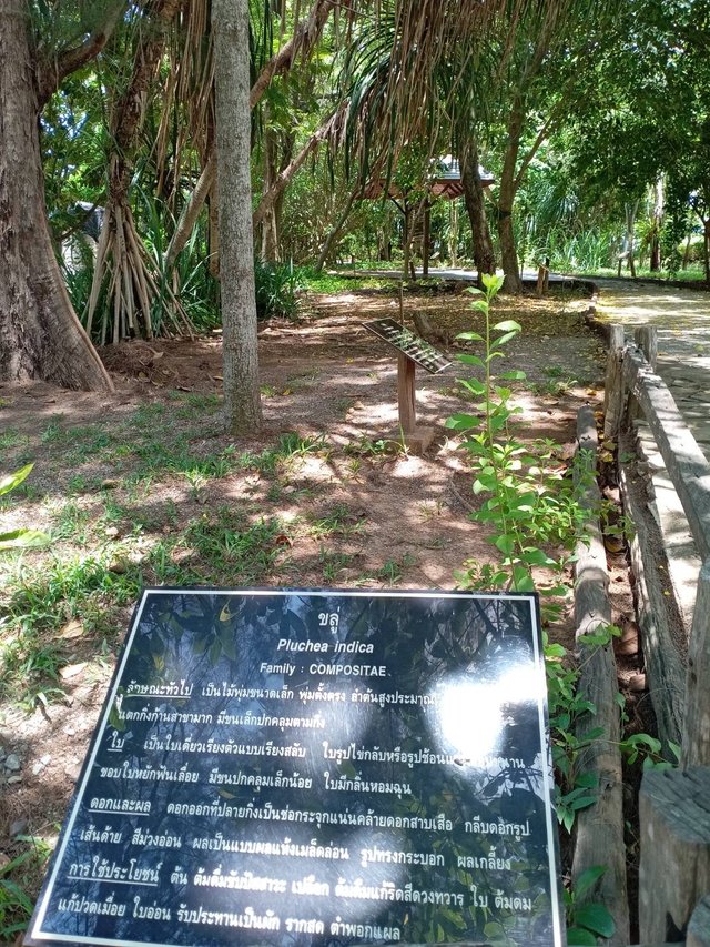 Ao Kung Krabean8.jpg