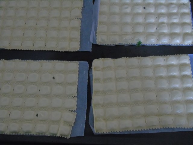 1raviolesmillefeuilles (12).JPG