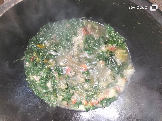 IMG20250613090337.jpg