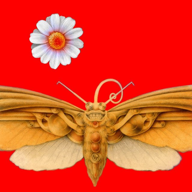 butterfly2019-02.jpg