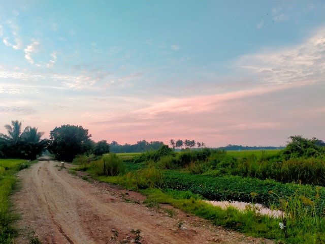 IMG20210917182536.jpg