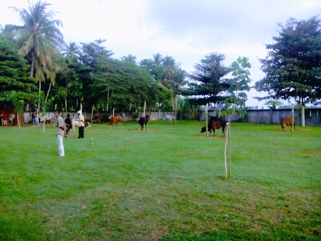 IMG_20160913_070003.jpg